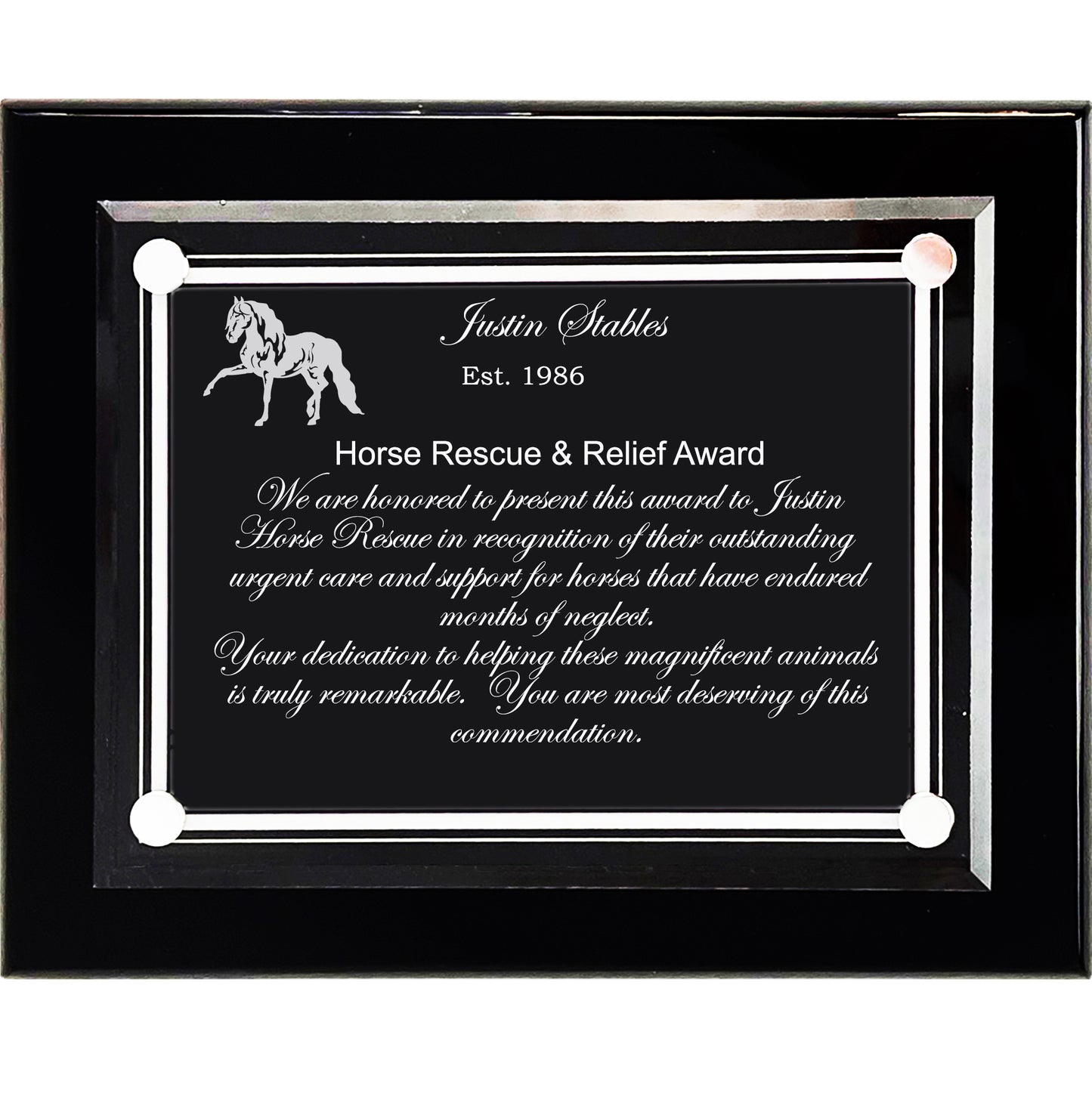 Acrylic Floating Wall or Desk Top Office Award: Deeply Etched to Fine Definition