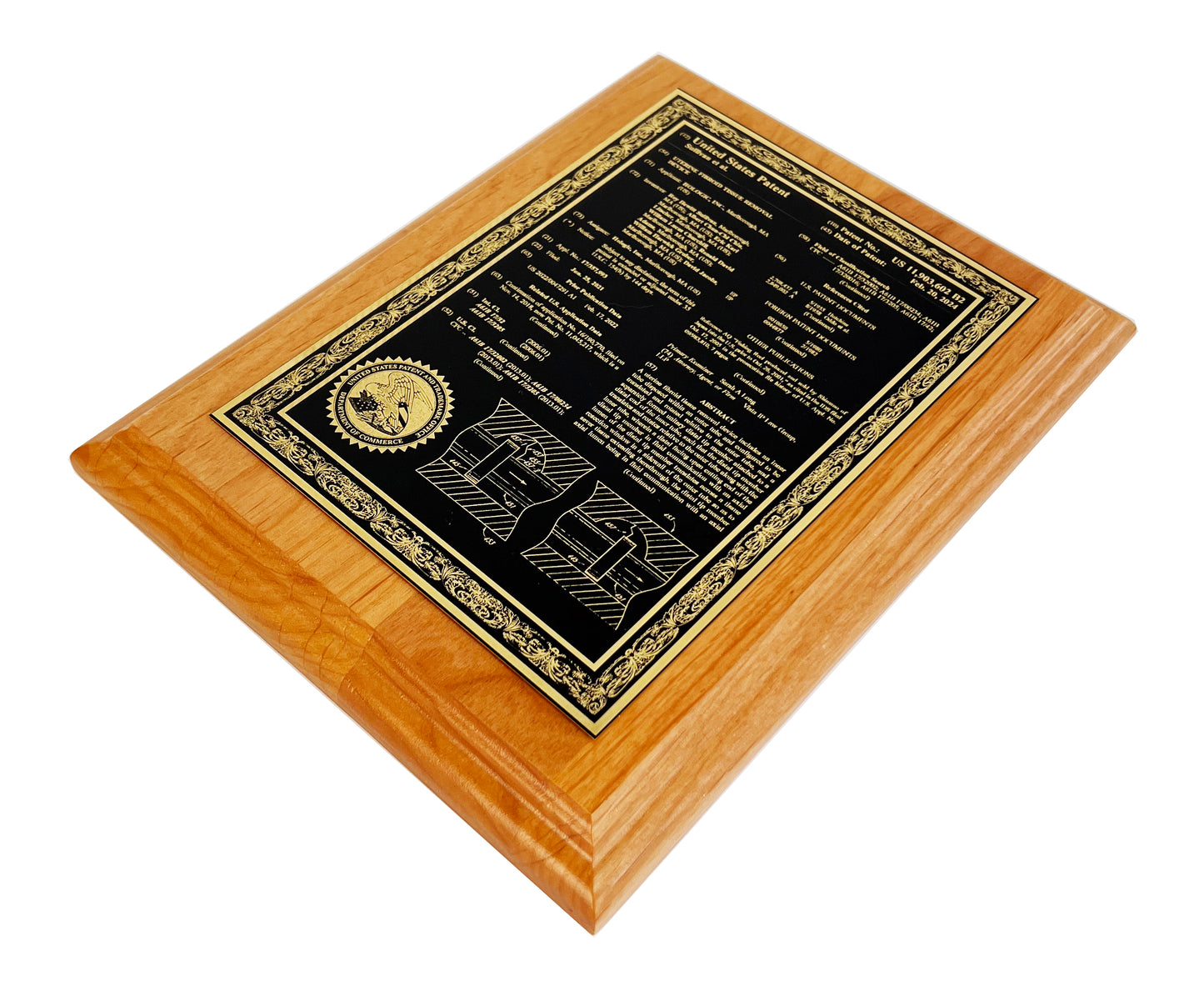 U.S. CLASSIC FRONT PAGE PATENT PLAQUE FINE ETCHED